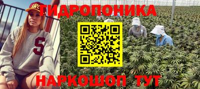 mdpv Краснодар