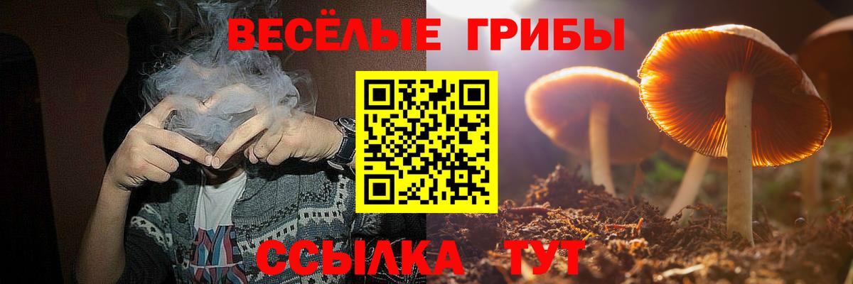Котовск  Галлюциногенные грибы прущие грибы  Вход с VPN 